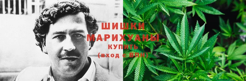 Каннабис Ganja  купить наркотик  Духовщина 